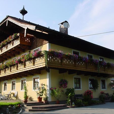 Gaestehaus Steinerhof 잘츠부르크 외부 사진